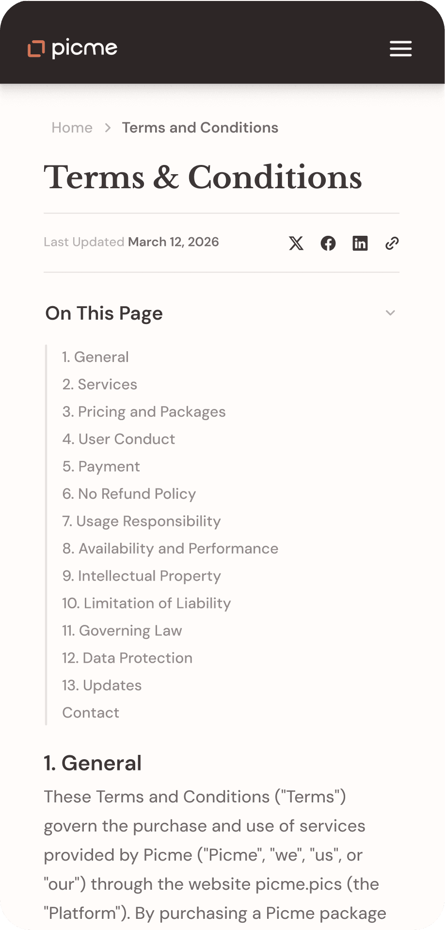 PicMe marketing screen: terms and conditions template