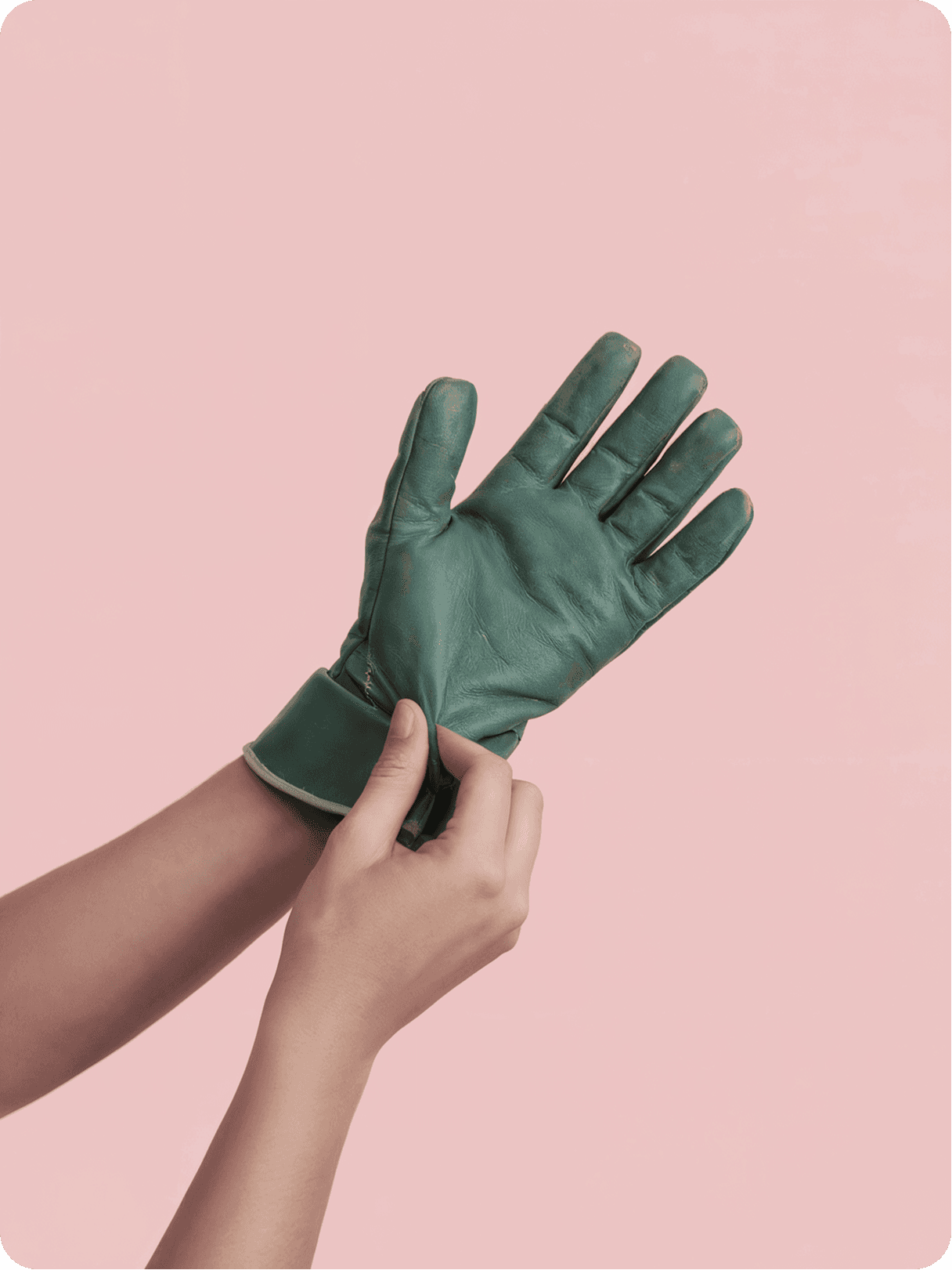 Brand photograph 6